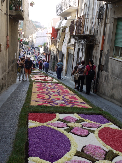 P1050936.JPG